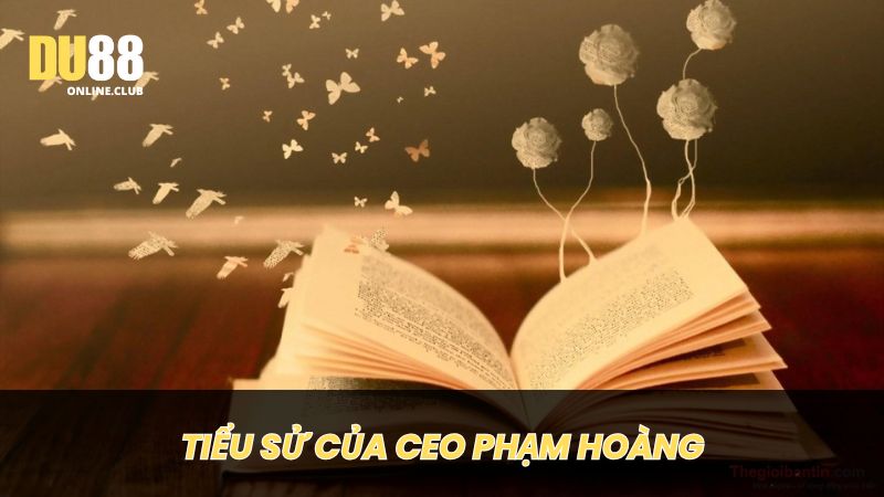 Tiểu sử và con đường học tập của CEO Phạm Hoàng